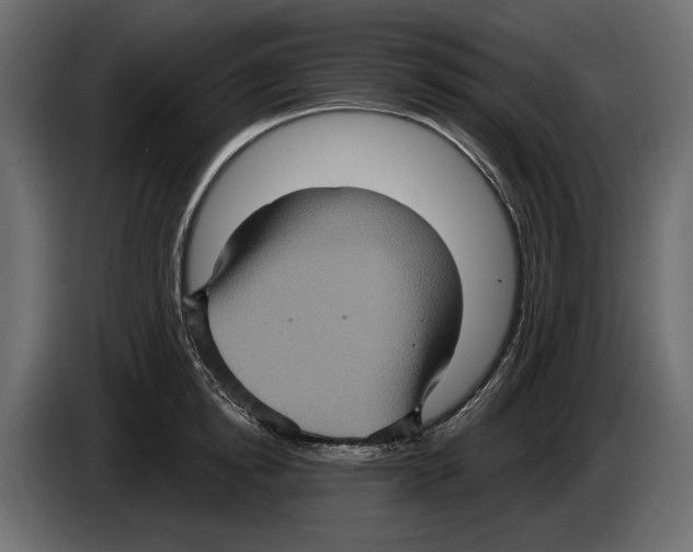 X0000084570854200703231819