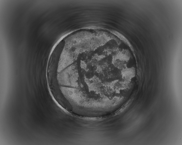 X0000084570855200703231819