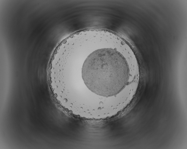 X0000084570856200703231819