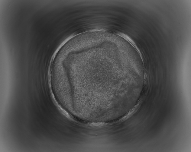 X0000084570859200703231819