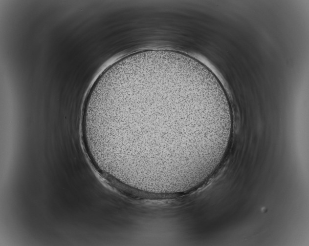 X0000084570861200703231819