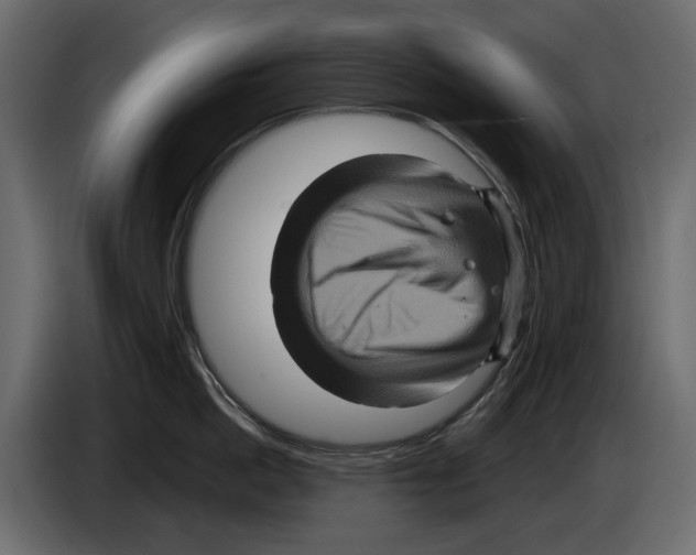 X0000084570862200703231819