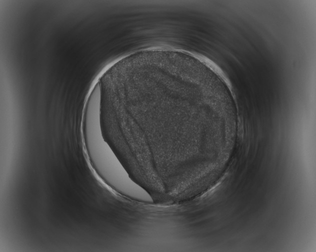 X0000084570863200703231819