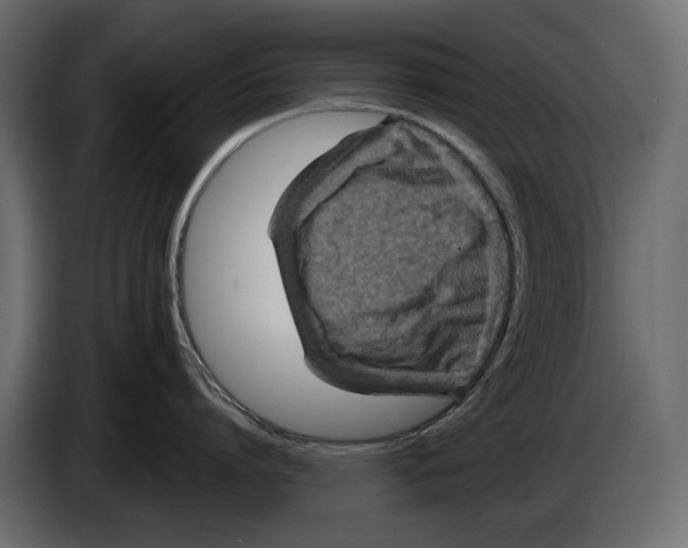 X0000084570864200703231820