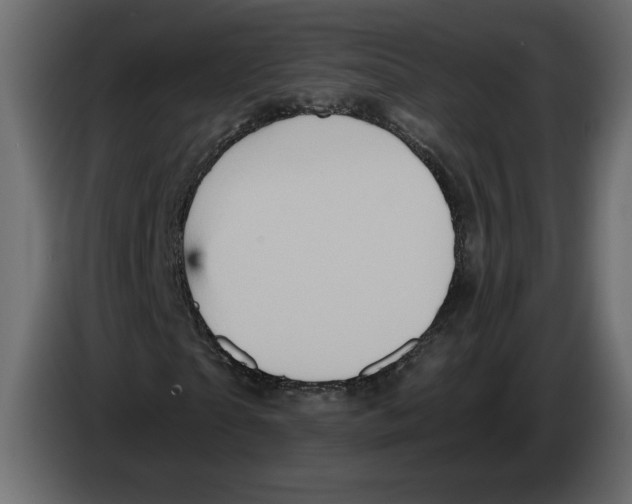 X0000084570865200703231819