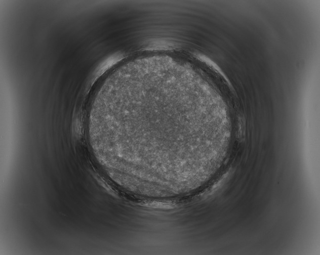 X0000084570874200703231819