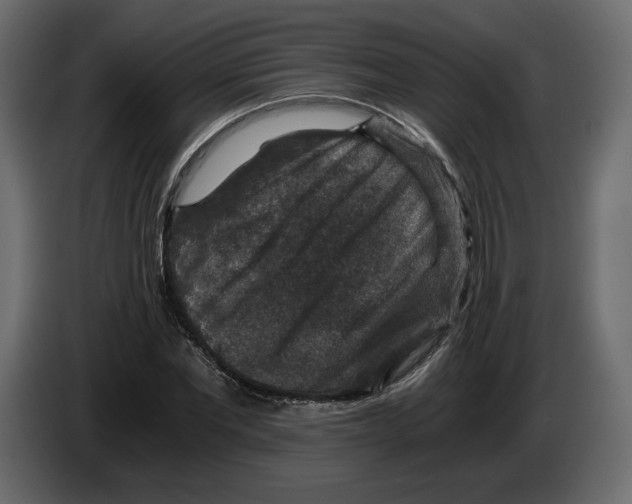 X0000084570877200703231819