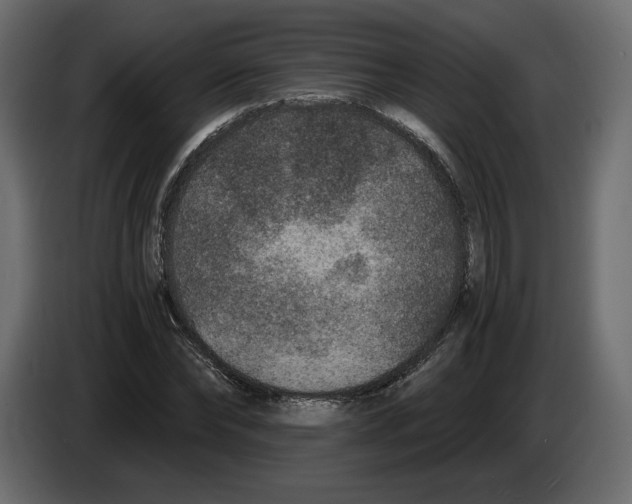 X0000084570878200703231819