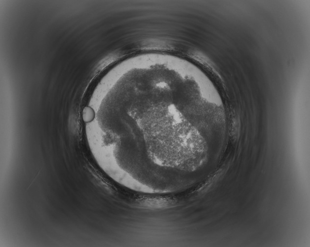 X0000084570882200703231819