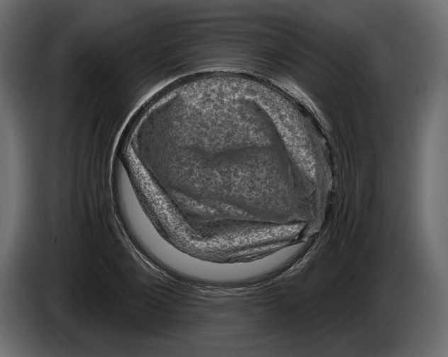 X0000084570884200703231819