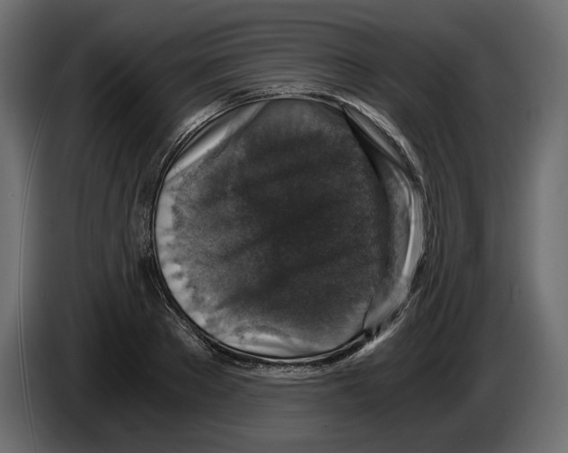 X0000084570889200703231818