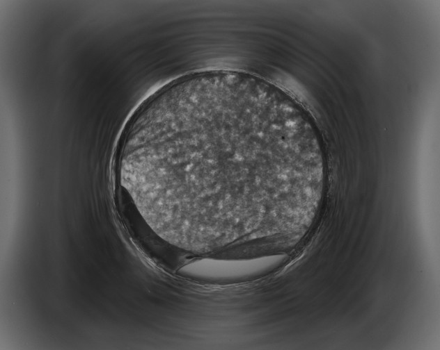 X0000084570892200703231818