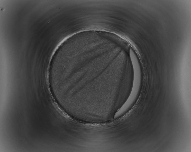 X0000084570896200703231818