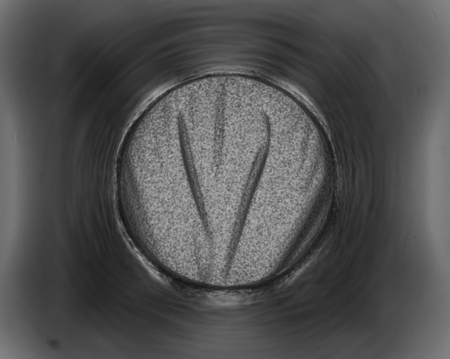 X0000084570898200703231818