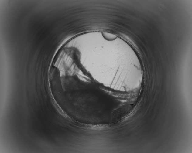 X0000084570899200703231818