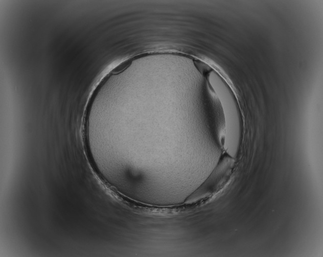 X0000084570901200703231818