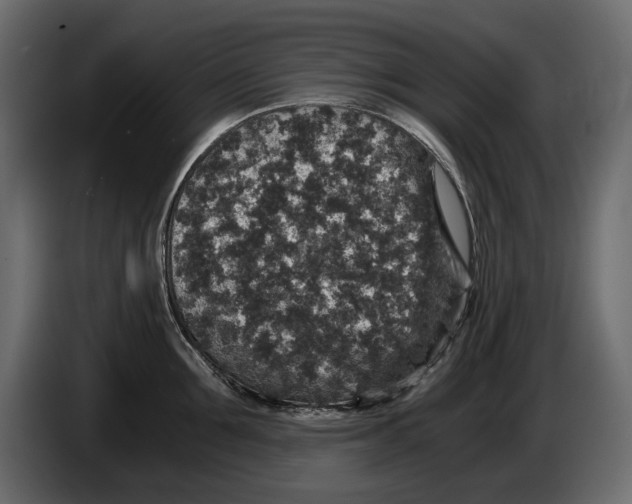 X0000084570907200703231818