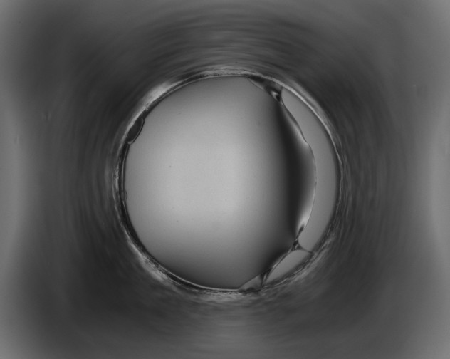 X0000084570909200703231818