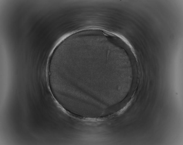 X0000084570910200703231818