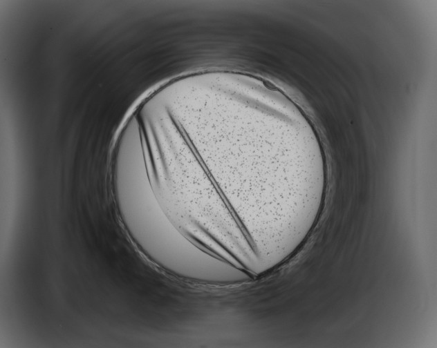 X0000084570912200703231818