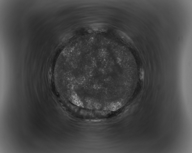 X0000084570915200703231818