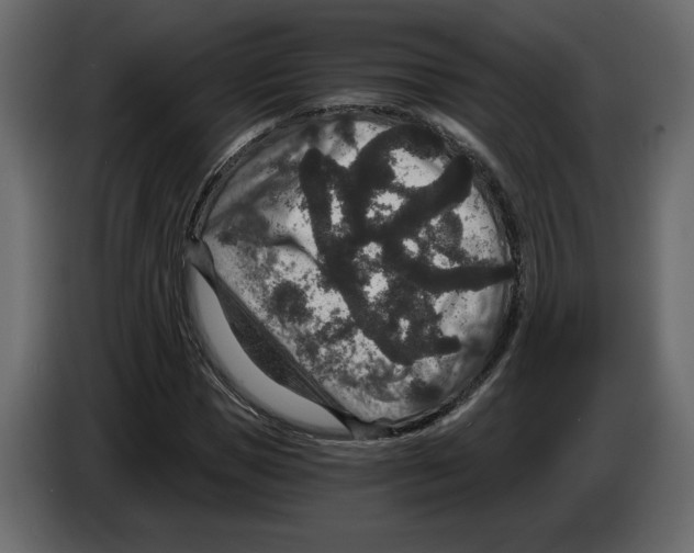 X0000084570921200703231818