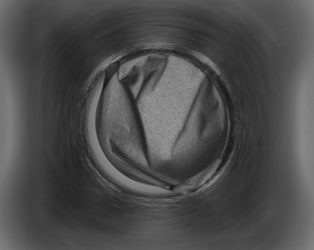 X0000084570922200703231818