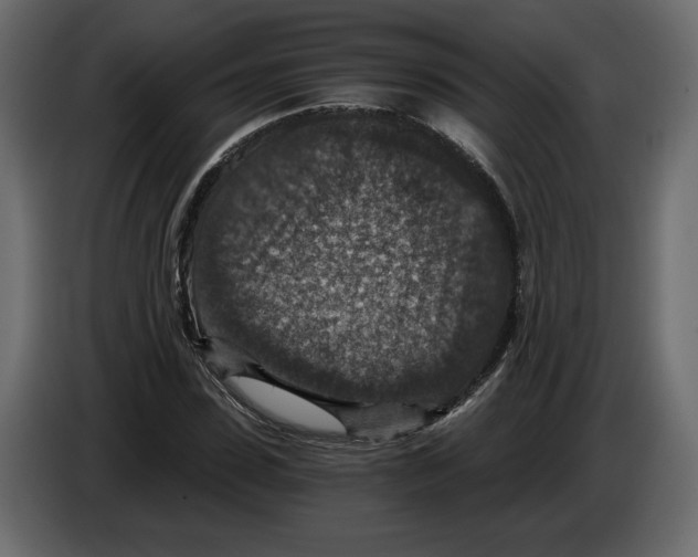 X0000084570923200703231818