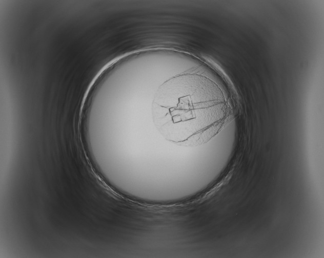 X0000084570924200703231818