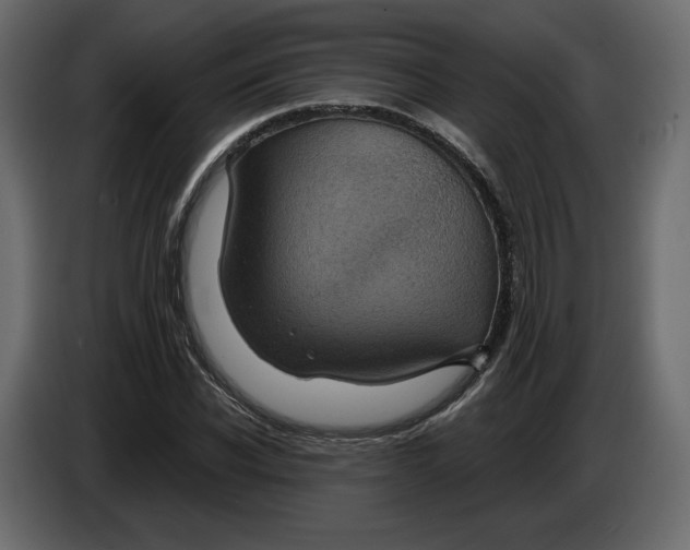 X0000084570926200703231818