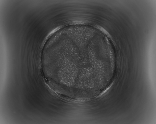 X0000084570930200703231818