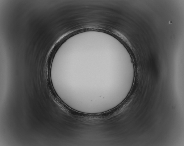 X0000084570931200703231818