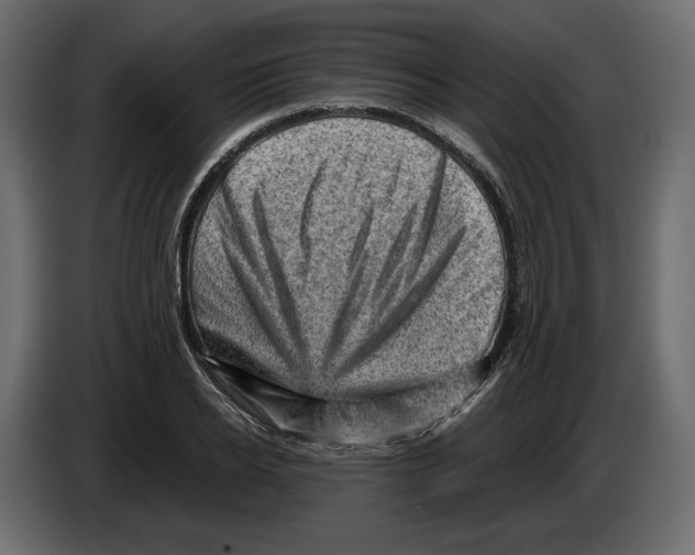 X0000084570934200703231818