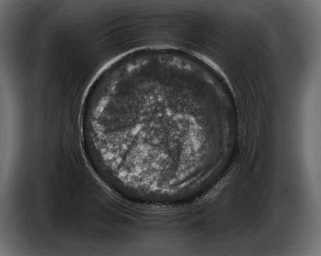 X0000084570935200703231818