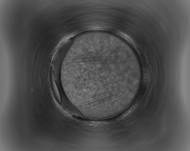 X0000084570938200703231818