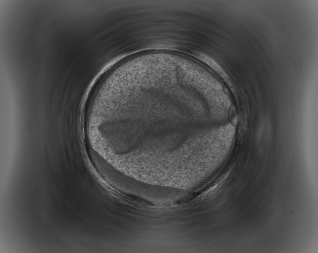 X0000084570939200703231818