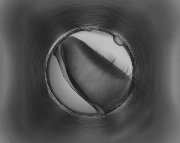 X0000084570941200703231818