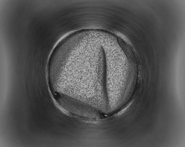 X0000084570942200703231818