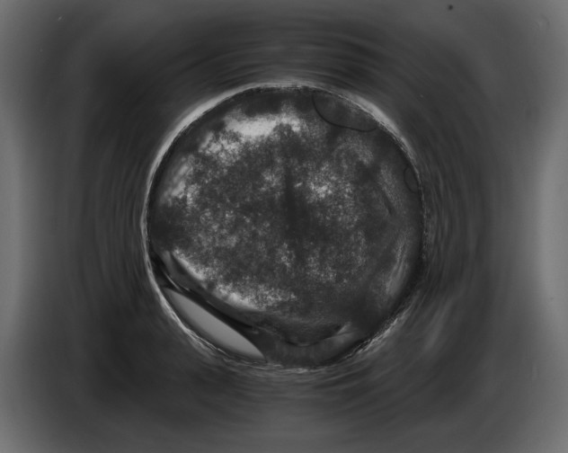 X0000084570943200703231818