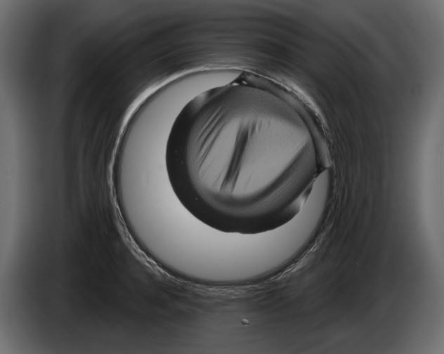 X0000084570944200703231818