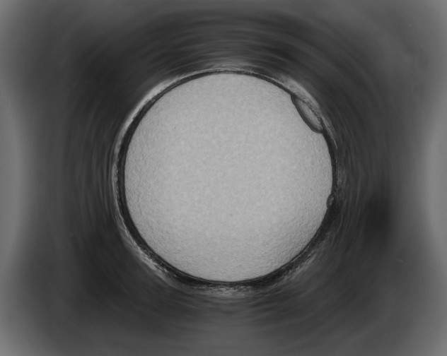 X0000084570947200703231818