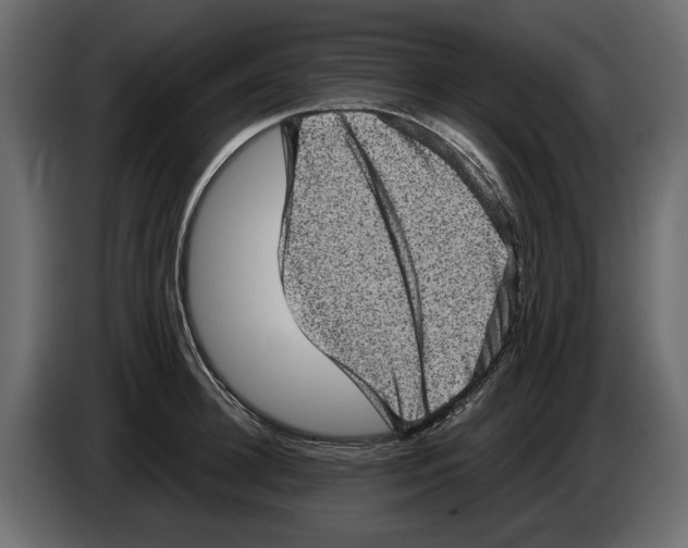 X0000084570948200703231818