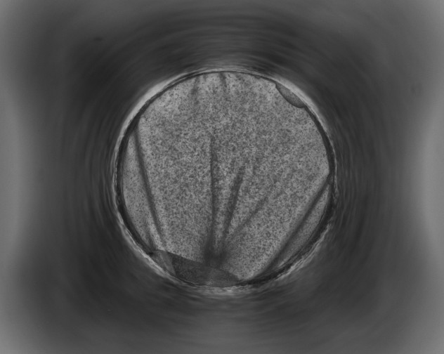 X0000084570949200703231818