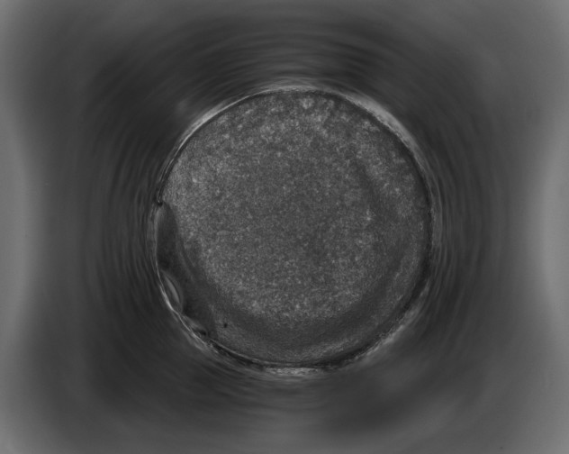 X0000084570953200703231818