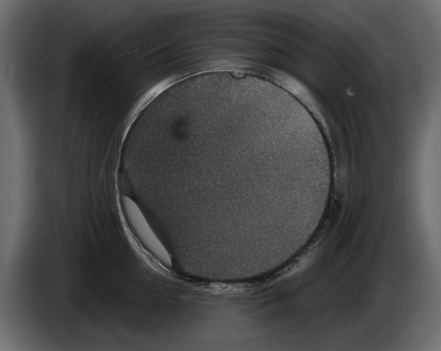 X0000084570954200703231818