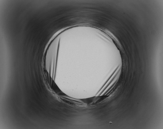 X0000084570956200703231818