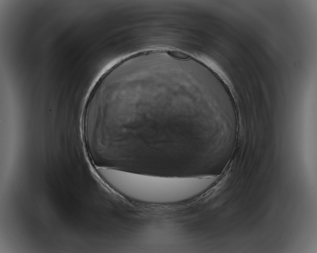 X0000084570958200703231818