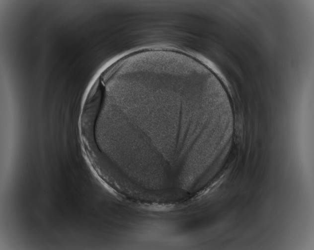 X0000084570959200703231818