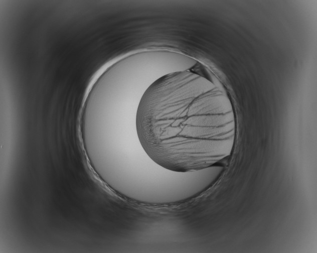 X0000084570960200703231818