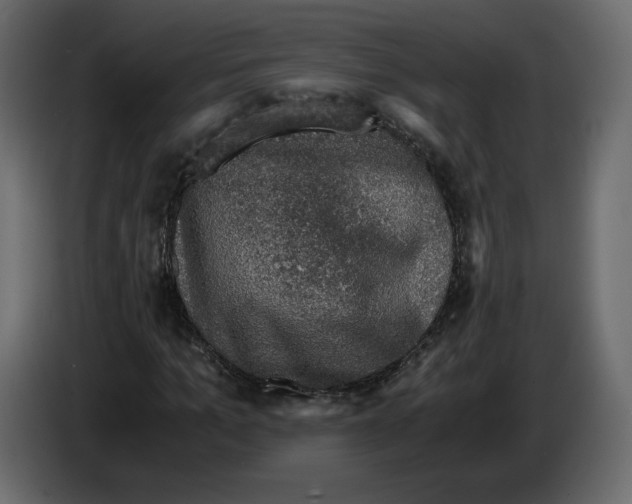 X0000084570965200703231817